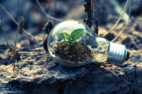 Pour l'environnement