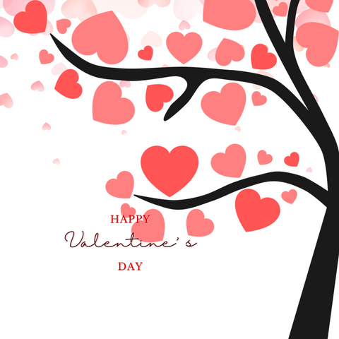 SmukBird Bon Cadeau Saint-Valentin